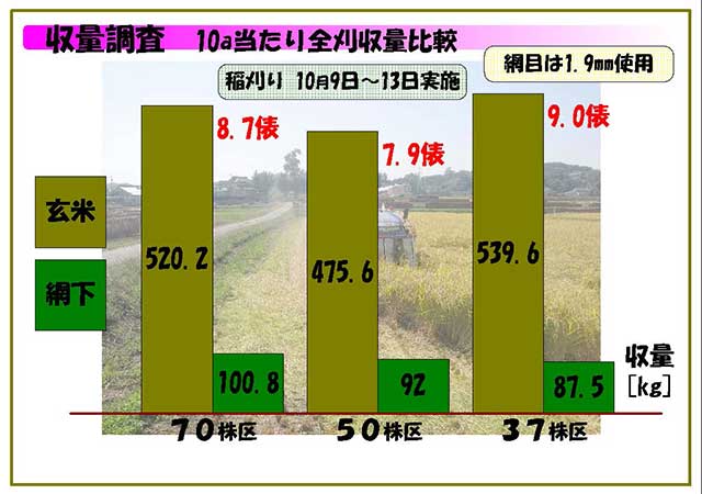 収量調査 10a当たり全刈収量比較