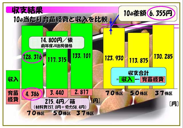 収支結果