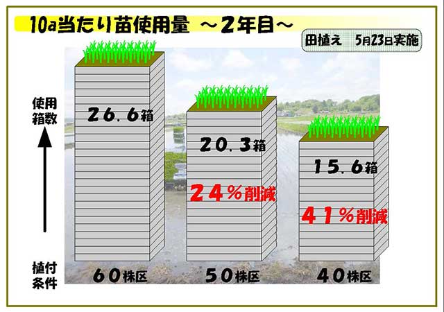 10a当たり苗使用量 2年目