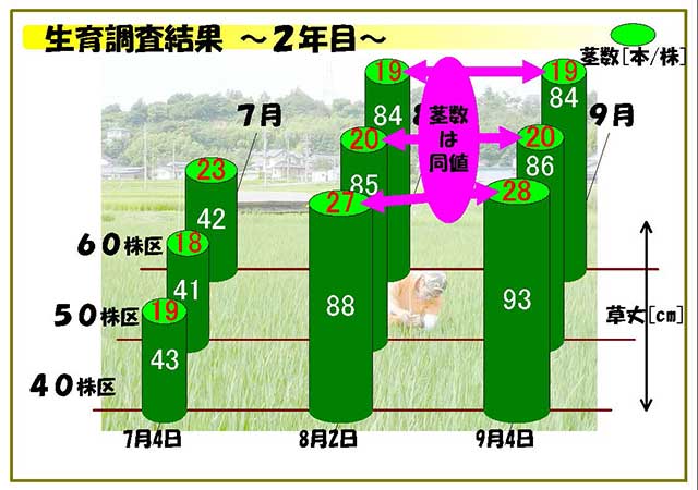 生育調査結果 2年目