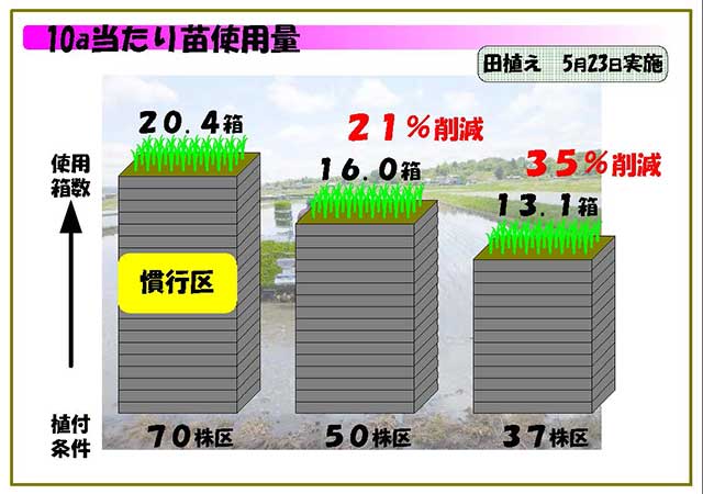 10a当たり苗使用量