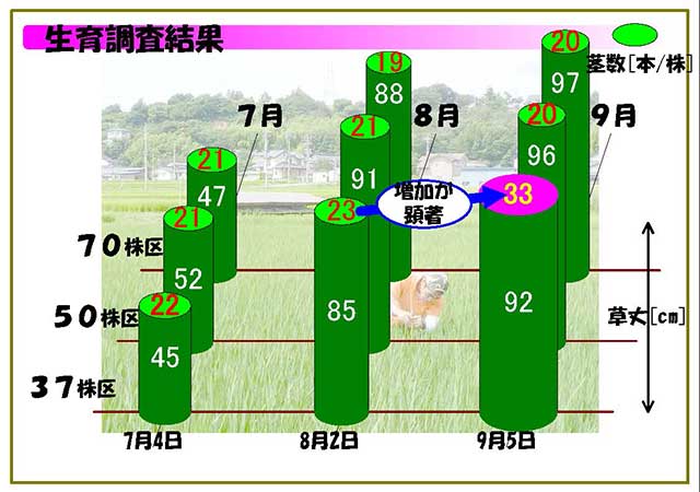 生育調査結果